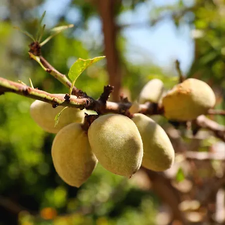 By The Sea Cove Golubovac, Kornati - 23062 Bizikovica